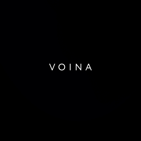 VOINA 